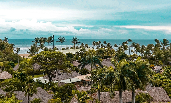 サステナビリティ